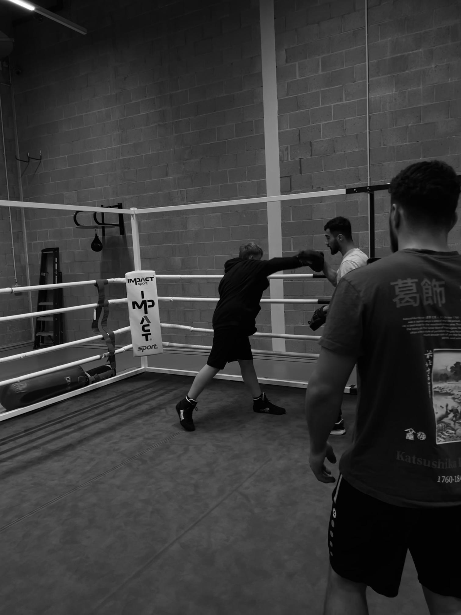 Boxing action